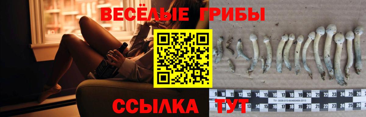 Псилоцибиновые грибы мухоморы  Вход с VPN  Дмитров 